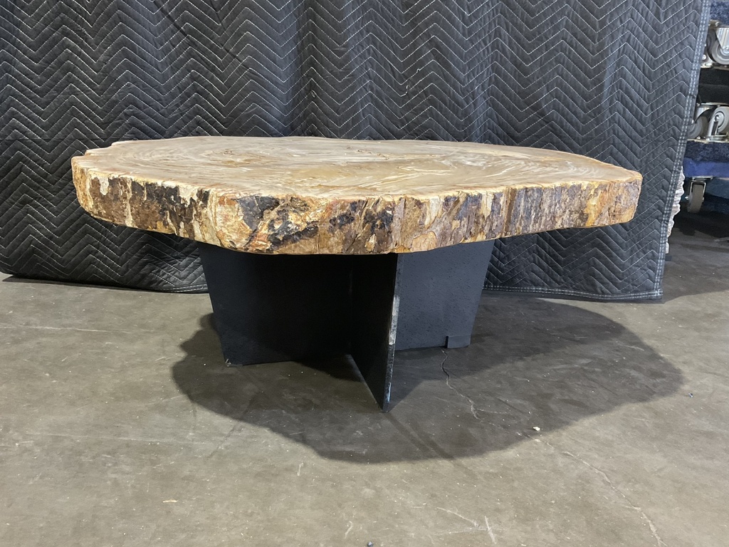 Petrified Wood Coffee Table