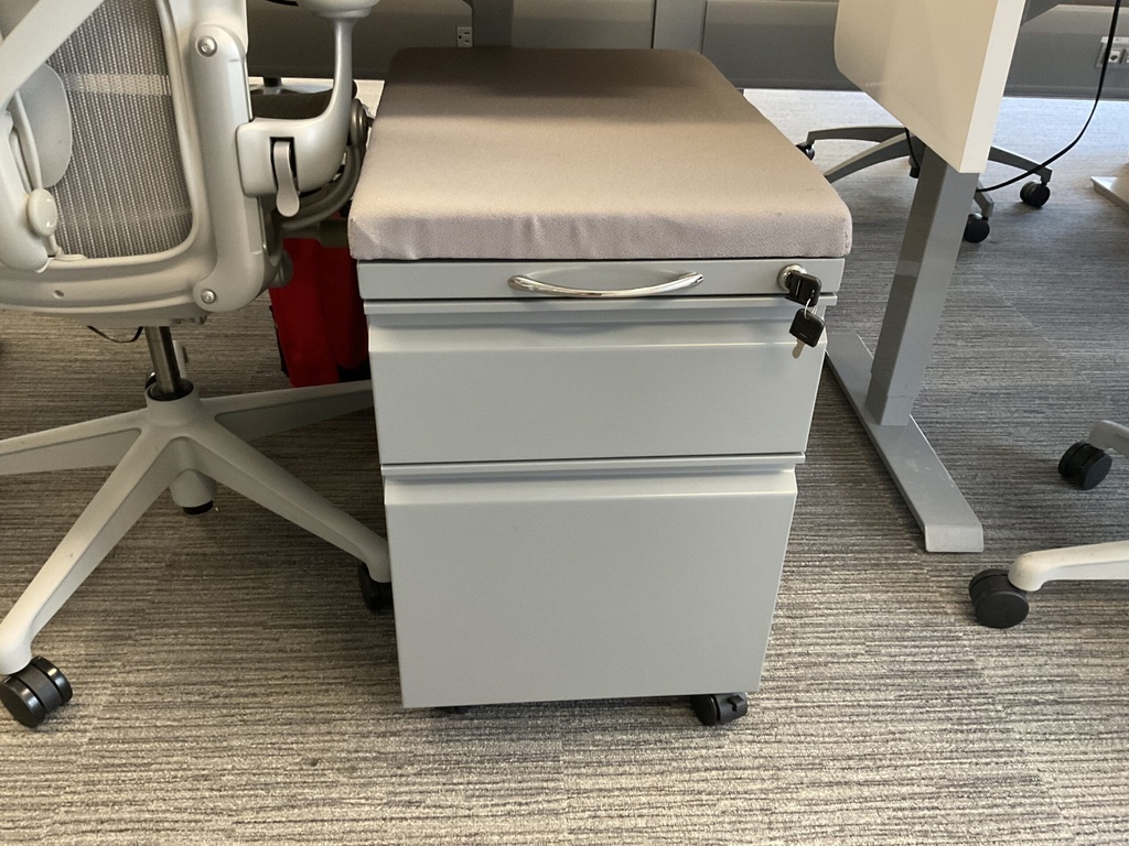 Cushioned B/F Pedestal