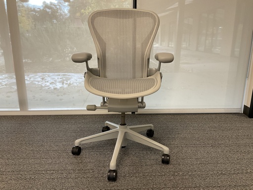 [6999] Remastered Aeron Conference Chair Size B