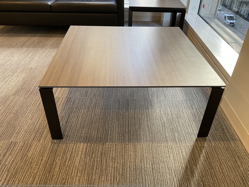 [8242] Square Coffee Table